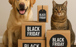 Black Friday Chile 2025: Aprovecha las mejores ofertas para consentir a tú mascota