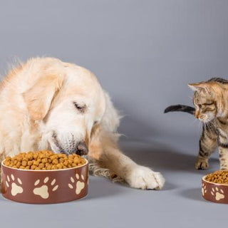 Alimentos