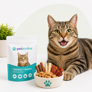 Premios para gato