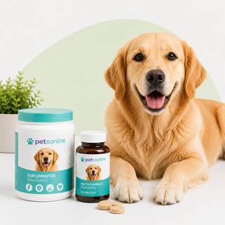 Vitaminas y Suplementos para Perro