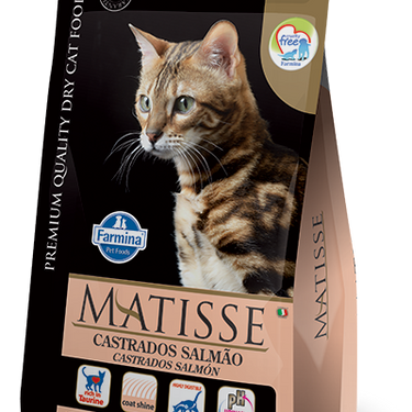 Matisse Gato Adulto Castrado Salmón 2 kg (vcto 03/01/25)