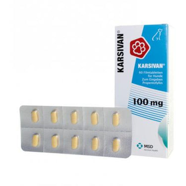 Karsivan 100 mg 60 Comprimidos MSD