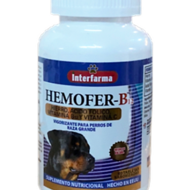 Hemofer B 12  Interfarma 60 comprimidos masticables