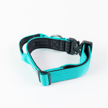 Collar Combat 4 cm para Perros  Street Dogs Turquoise L