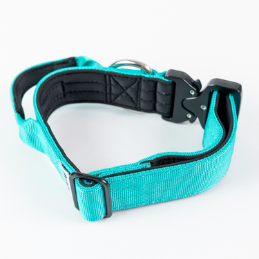 Collar Combat 4 cm para Perros  Street Dogs Turquoise L