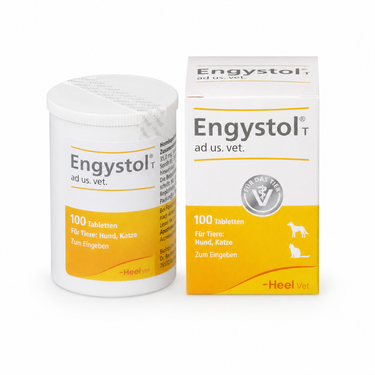 Engystol-perro-gato