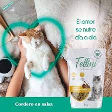 Fellini Cordero Salsa 85g x24 unid vcto 18/12/25