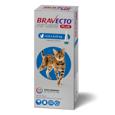 Bravecto Antiparasitario Pulga/Garrapatas 3M Cat 2.8-6.25 kg