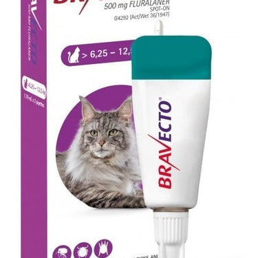 Bravecto Antiparasitario Pulga/Garrapatas 3M Cat 6.25-12.5kg