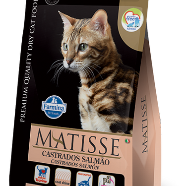 Matisse Gato Adulto Castrado Salmón 7,5 kg