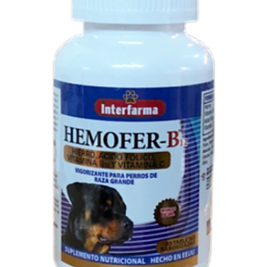 Hemofer B 12  Interfarma 60 comprimidos masticables (vcto 06-2024)
